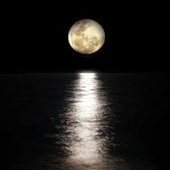 magic in the moonlight w/ guccismvke & cokyo