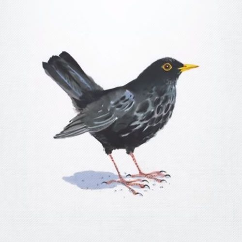 Stream "Whistle" Trippie Redd X Juice WRLD Ft. XXXTENTACION Type