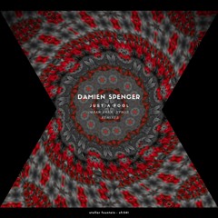 Damien Spencer - Just A Fool (sYnus Audio Rework)