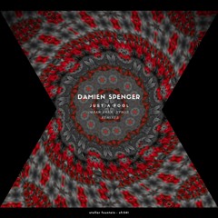 Damien Spencer - Just A Fool (Original Mix)