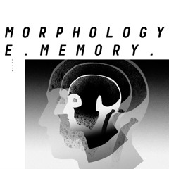 [AF020] MORPHOLOGY 'COLLECTIVE MEMORY EP' [2019]