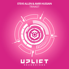 Steve Allen & Amir Hussain - Trinket