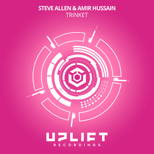 Steve Allen & Amir Hussain - Trinket