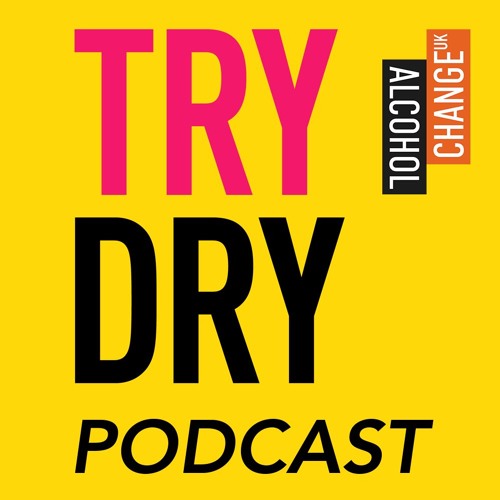 Try Dry Podcast 2 with David Begg from Real Kombucha