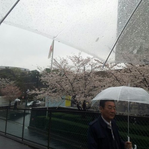 FAT BUDDHA - Rotten Flesh Ft. Louzy M (Instrumental)