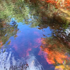 Olivier Alary - Mirages (for 15 Musicians - Rehearsal)