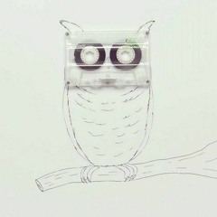 STBB 619 - Owl You Need Is...