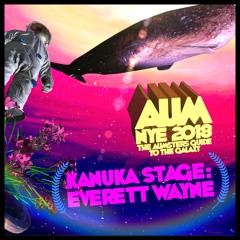 Live @ AUM Festival NYE 2018