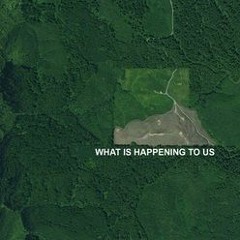 🌱🌱🌱🌱🌱🌱🌱🌱