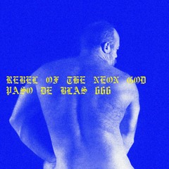 rebel of the neon god