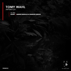 Tomy Wahl - Arpswitch [Andre Gazolla & Shadow Gruuv Remix]