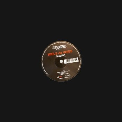 Niels De Vries - Sueño