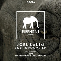 04. Joel Salim - Lost Groove (Martello Bros, Mirko Paoloni Remix) [Elephant Chords 024]