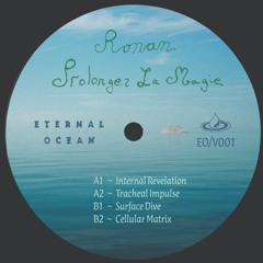 Premiere: Ronan – Internal Revelation [Eternal Ocean]