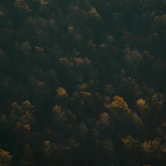 Electro Guitar Slow Build Score