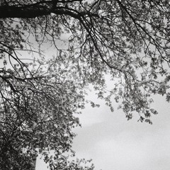 Conversation With Midori