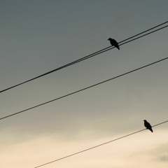 Don't Mess Around With Jim--Jim Croce