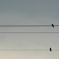 Ain't Wasting Time No More--Allman Brothers