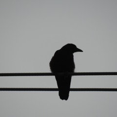 The Devil in Me--Anderson East