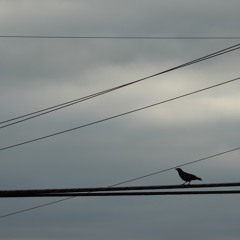 To Be Young--Ryan Adams