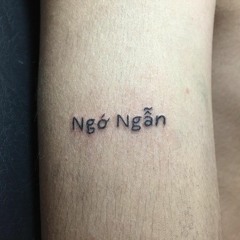 Ngớ Ngẫn (Ngớ Ngẫn)