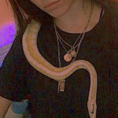 B L A C K M A M B A(Prod.By-Sugi.wa)