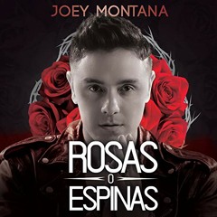 Joey Montana - Rosas O Espinas (Ronny Serna & Kevin Smith Edit 2019)