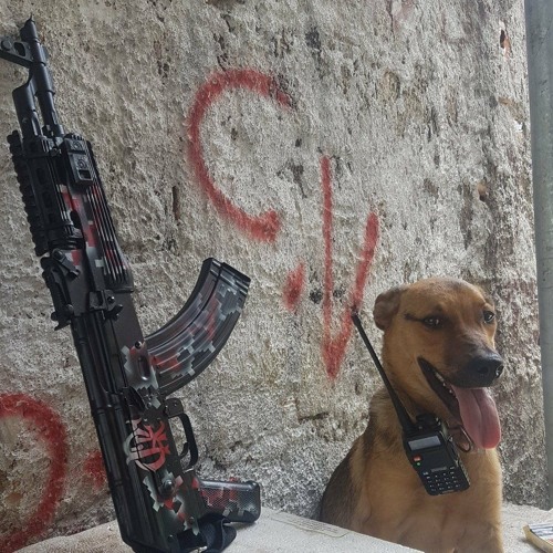 == SEQUÊNCIA VAI MORRER POLICIA E BOPE ((TERROR DO BOZONARO)) RELEMBRANDO AS BRABAS DO CV