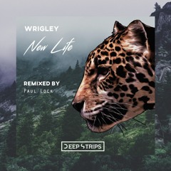 Wrigley - New Life (Paul Lock Remix)