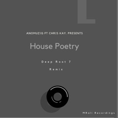house electrónico