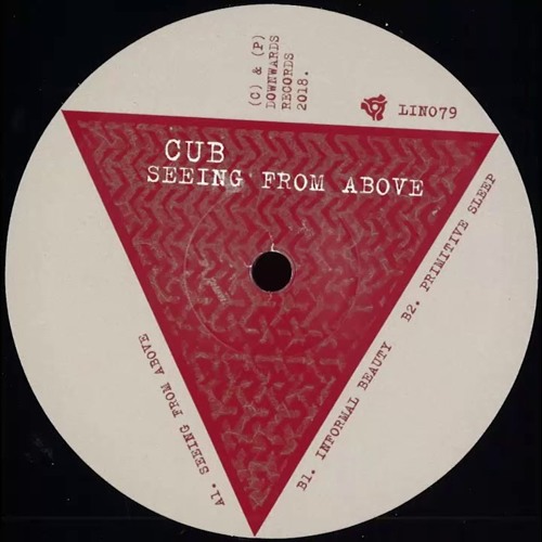 CUB (Regis) & Simon Shreeve - Seeing From Above [LIN079]