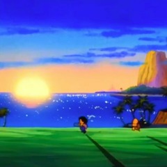 The Turtle Hermit Way