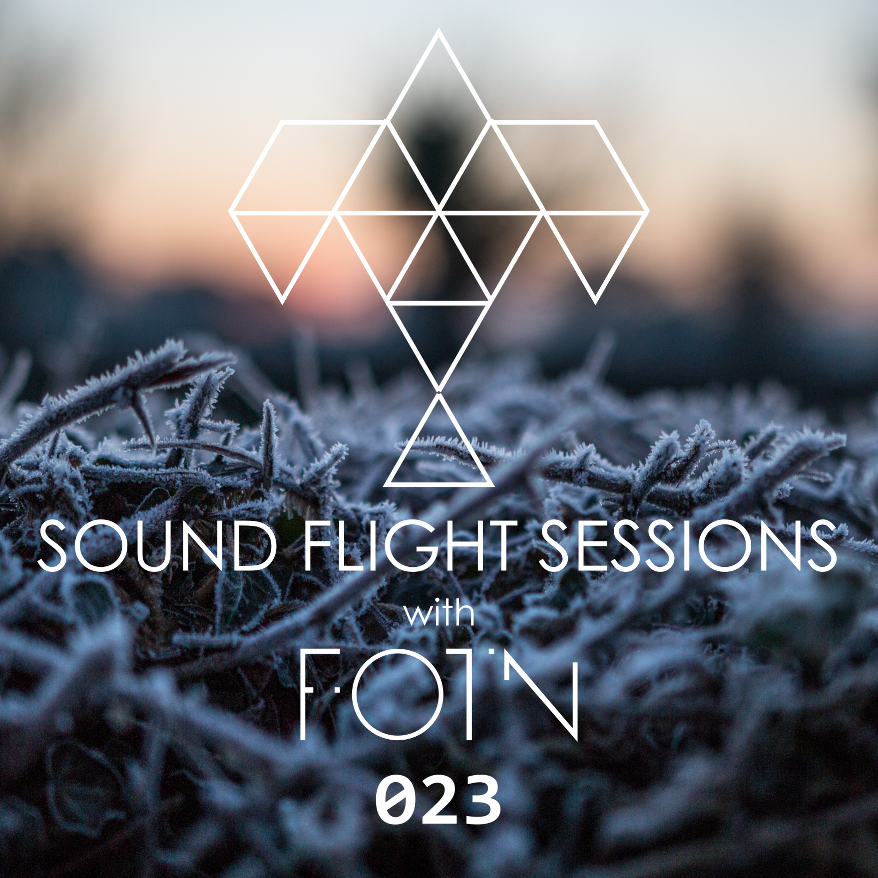 Sound Flight Sessions