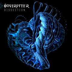 Bogtrotter - Dissection [PREMIERE]