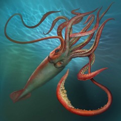 Diversion - Squid