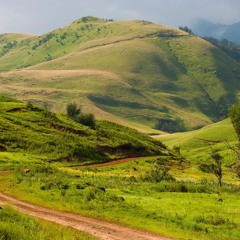 A Farmstead Venture