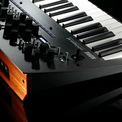 086 Thick Bass