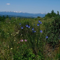 Cover of Prairie In The Sky by Mary McCaslin