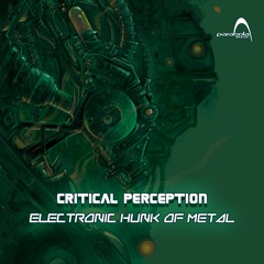 Critical Perception  - Electronic Hunk Of Metal