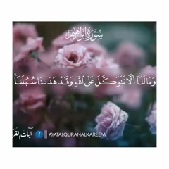 وَمَا لَنَا أَلَّا نَتَوَكَّلَ عَلَى اللَّهِ وَقَدْ هَدَانَا سُبُلَنَا ۚ