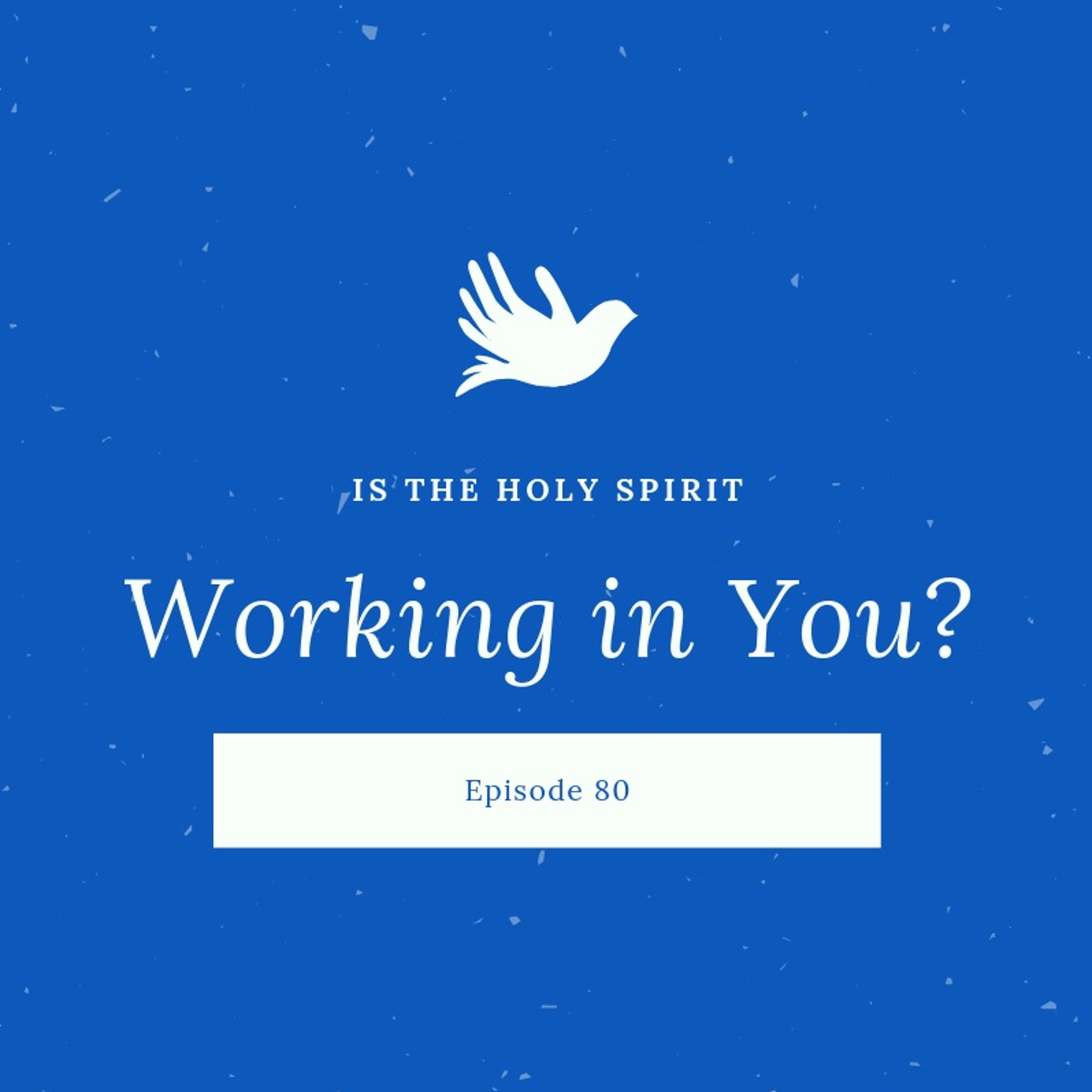 Episode 80: Is the Holy Spirit Working in Your Life? episode artwork