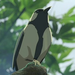 Fly, bird