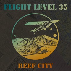 Flight Level 35