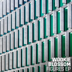 Wookie & Blossom -  Night In The Jungle