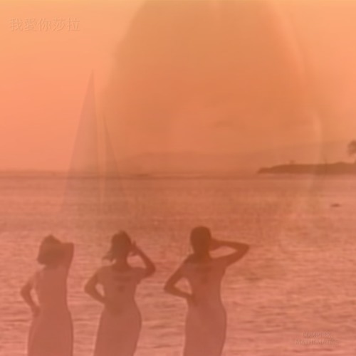 我永遠不會忘記你