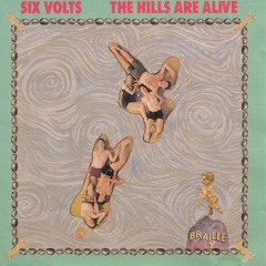 The Six Volts - Black Dog