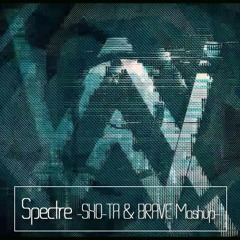 Alan Walker / Spectre -SHO-TA & BRAVE Mashup-