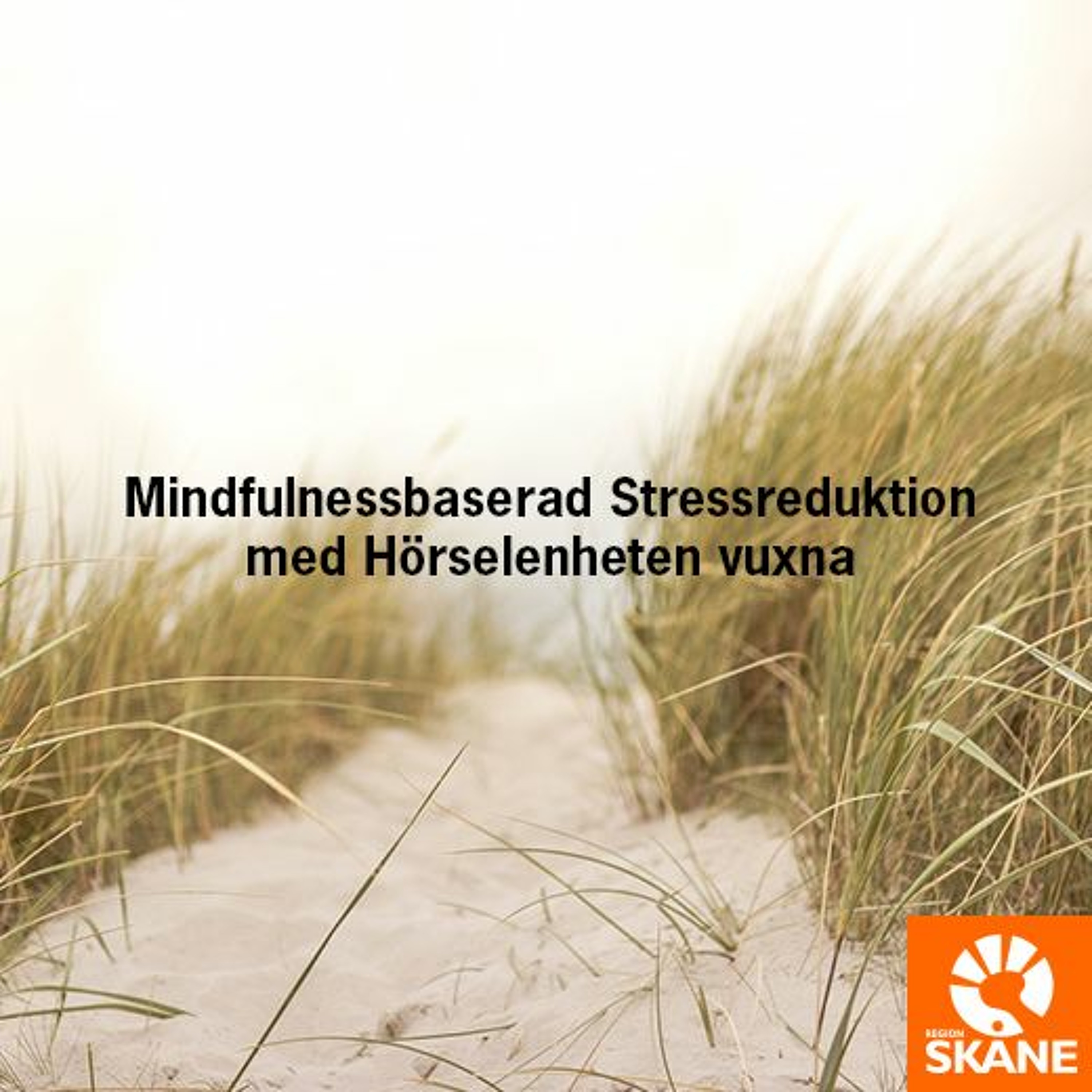 Mindfulnessbaserad Stressreduktion - Hörsel- och tinnitusmottagning vuxna