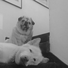 Evya - My Body My Way