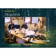 Skogsbruk